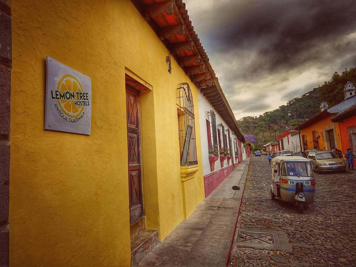Lemon Tree Hostel Antigua Exterior foto